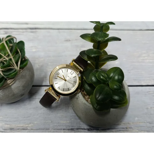 Timex TW2W96400 moteriškas laikrodis 31 mm su dėžute image 3