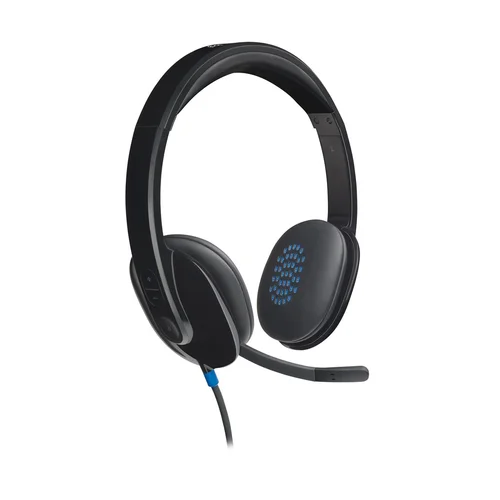 Logitech H540 USB ausinės image 1
