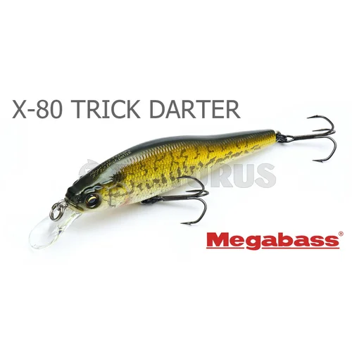 Megabass X-80 TRICK DARTER 80,5 mm M WAKASAGI image 1