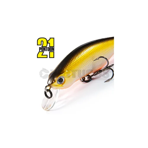 Pontoon21 Chaos 72F-SR 72 mm 9,3 g R30 Funa vobleris image 2