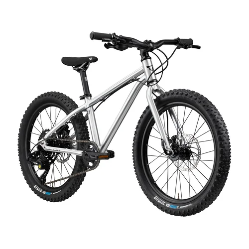 Dviratis EARLY RIDER Seeker 20 image 2