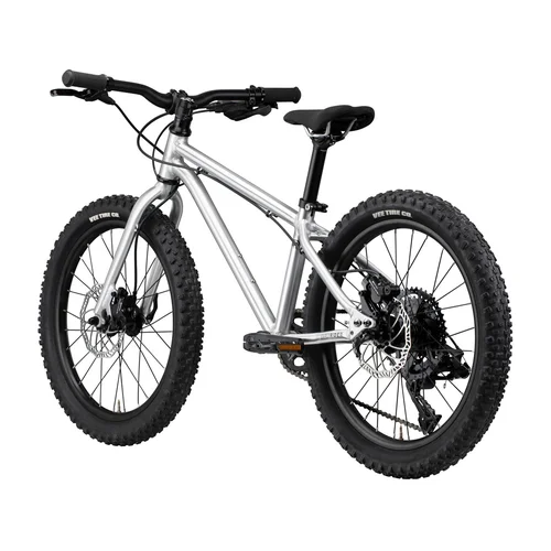 Dviratis EARLY RIDER Seeker 20 image 3