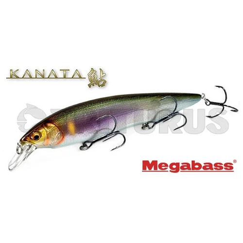 Megabass Kanata 160 mm 30 g plaukiantis vobleris image 2