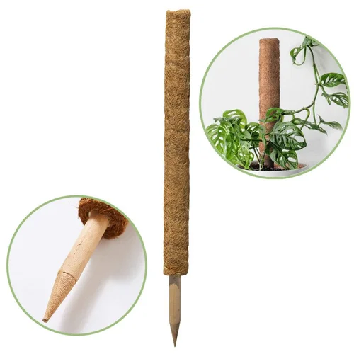 Kokoso pluošto atraminis kuolas, 60 cm image 3