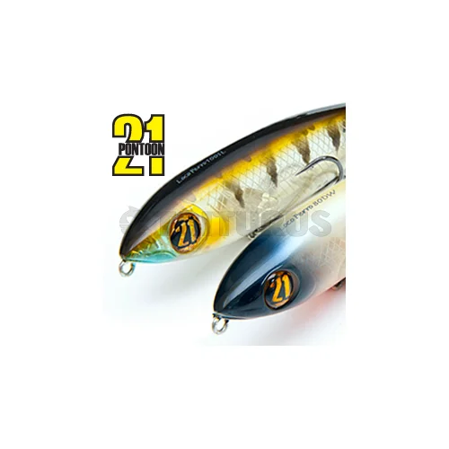 Pontoon21 Loco Perro 100 SL 888 MI Doublet image 1