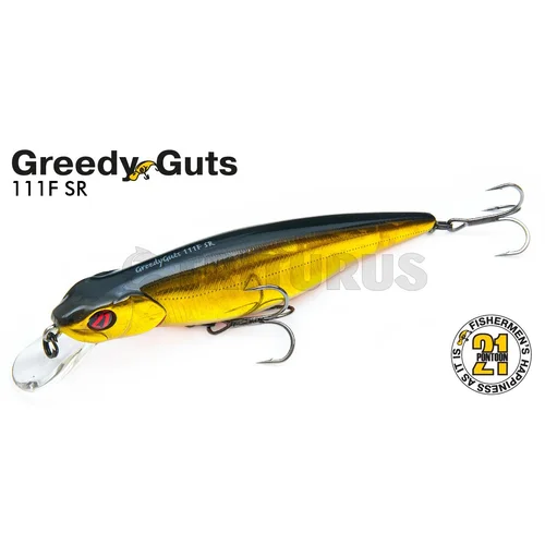 Pontoon21 GreedyGuts 111F-MDR 470 CB Fire Tiger image 2