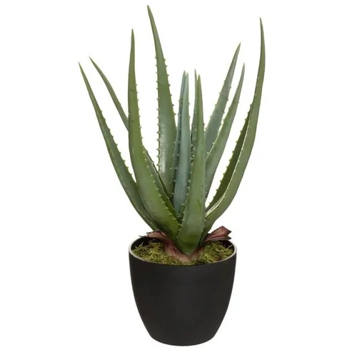 Atmosphera Aloe dirbtinis augalas vazone, 44 cm image 1