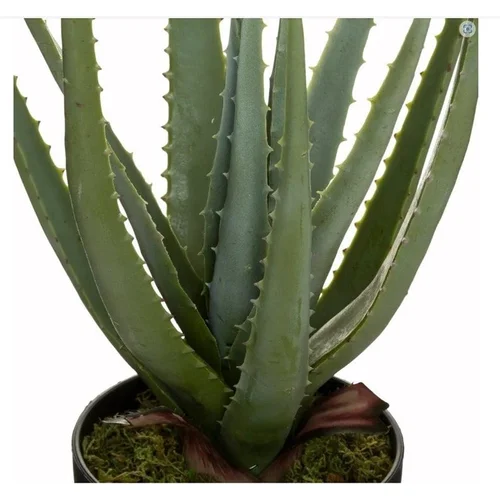 Atmosphera Aloe dirbtinis augalas vazone, 44 cm image 2
