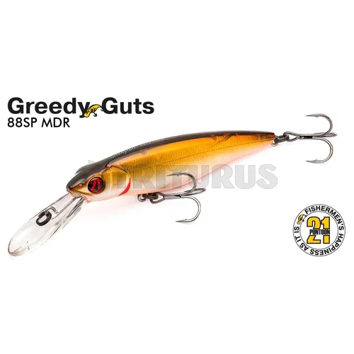 Pontoon21 GreedyGuts 88F-SR, 405 CB Crash HG Wakasagi image 3