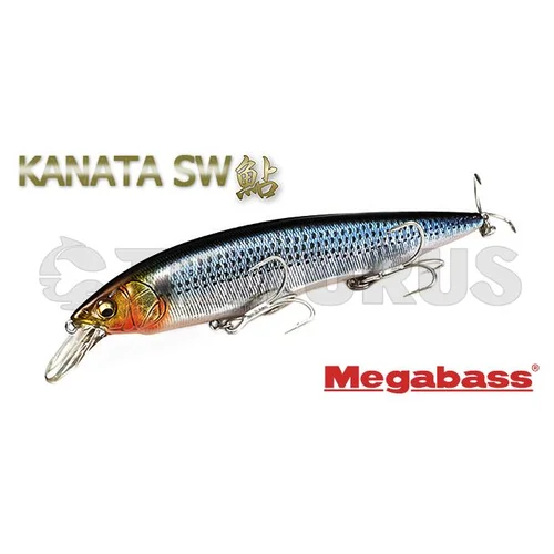 Megabass Kanata SW 160 mm 31 g vobleris image 3