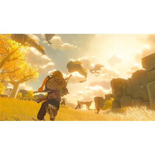 Nintendo TLO Zelda: Tears of the Kingdom UK4 image 3