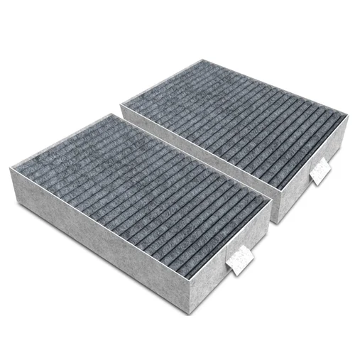 Miele DKF 31-S Sensitive AirClean anglies filtras image 2