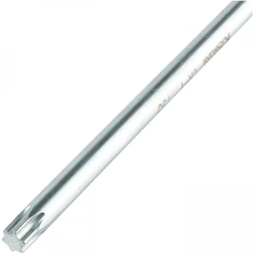 Richmann T formos Torx raktas T10 100 mm image 3