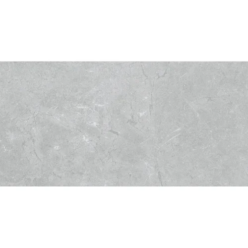 Pamesa Constanza Gray akmens masės plytelės 60x120 cm image 1