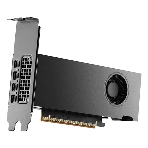 PNY RTX PRO 2000 Blackwell 16 GB GDDR7 image 3