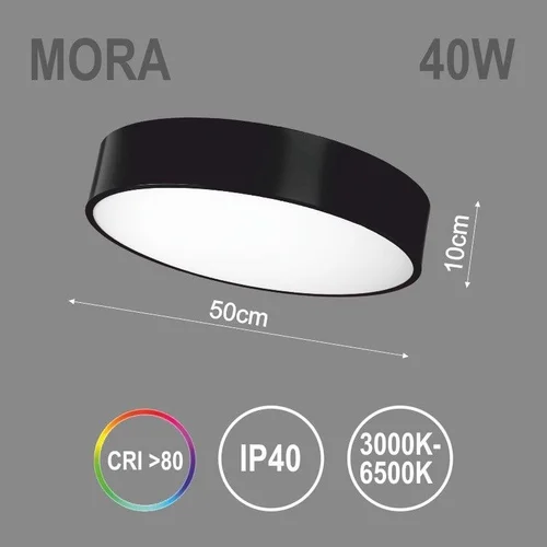 Kabamasis šviestuvas TOPE MORA, 40 W, LED image 3