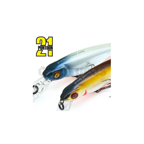 Pontoon21 GreedyGuts 44SP-SR 430 CB Funa image 1