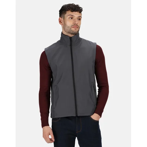 Regatta TRA820 Softshell liemenė 3XL Seal Grey image 2