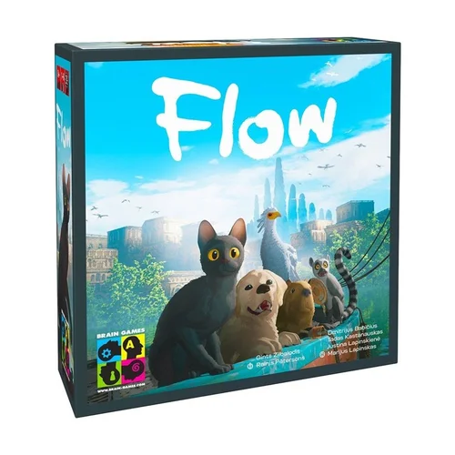Brain Games Flow BRG#FLOW, 1–6 žaidėjų image 1