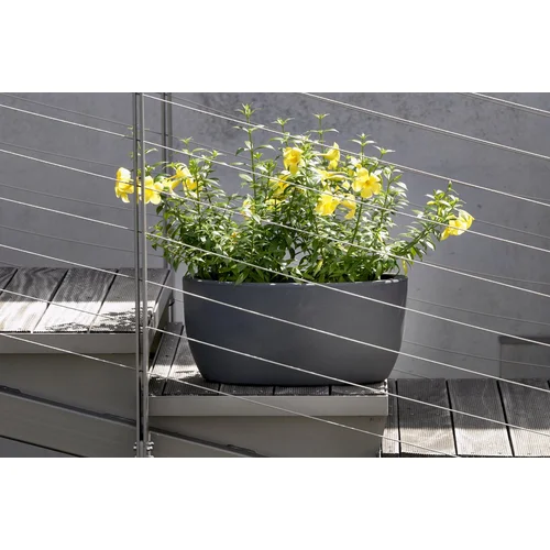Nicoli lovelis Athena 50x29x23 cm Antracito image 3