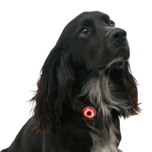Mountain Paws Dog Safety Light 2 vnt. image 3