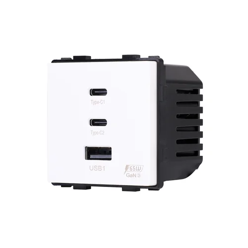 Feelspot FSMP65W greito įkrovimo rozetė USB-C+C 65W image 2