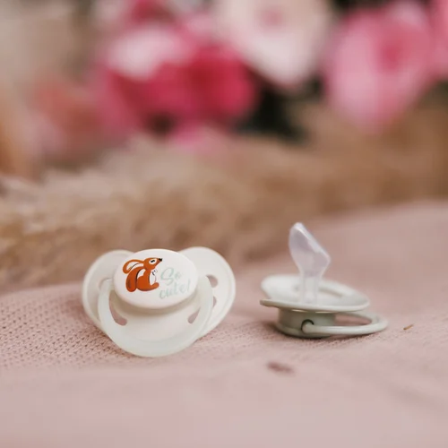 Babyono 1670/02 silikoninis anatominis čiulptukas 6-18m image 3