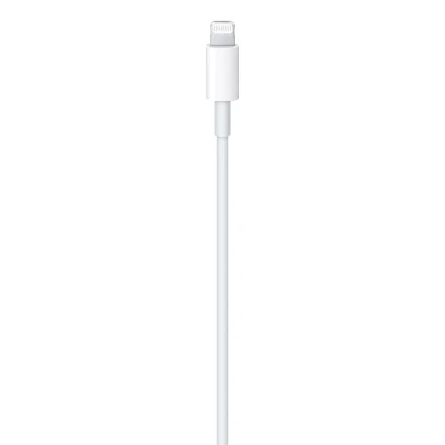 Apple USB-C Male į Lightning Male Kabelis 1m, Balta image 2