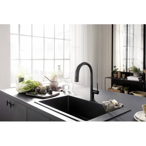 Hansgrohe 76826670 Virtuvinis maišytuvas Juodas matinis image 2