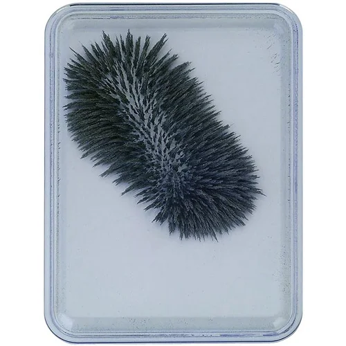 Plieninė miltelių dėžutė image 3