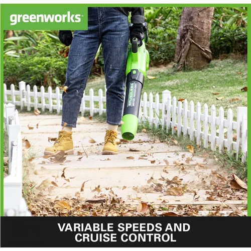 GreenWorks GD24X2AB Akumuliatorinis pūstuvas, 48V (2x24V) image 3