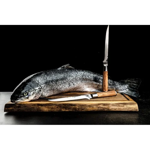 Žuvies filiavimo peilis Forged Olive 18cm image 2