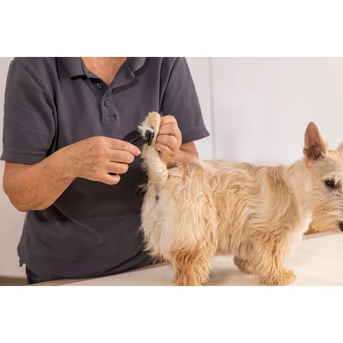 WAHL 1586-0471 Prima Gyvūnų plaukų kirpimo mašinėlė 0,4 mm image 3