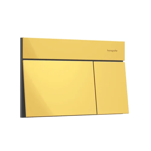 Hansgrohe iFrame Element E vandens nuleidimo mygtukas 66003990 image 1