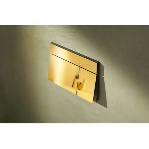 Hansgrohe iFrame Element E vandens nuleidimo mygtukas 66003990 image 2
