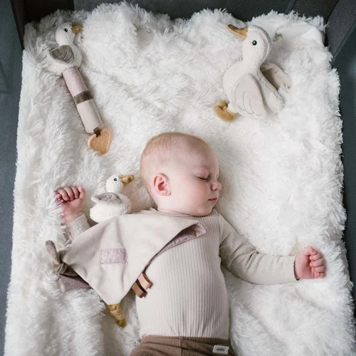 Babyono cypsiukas žąsis zoe 1555 image 3