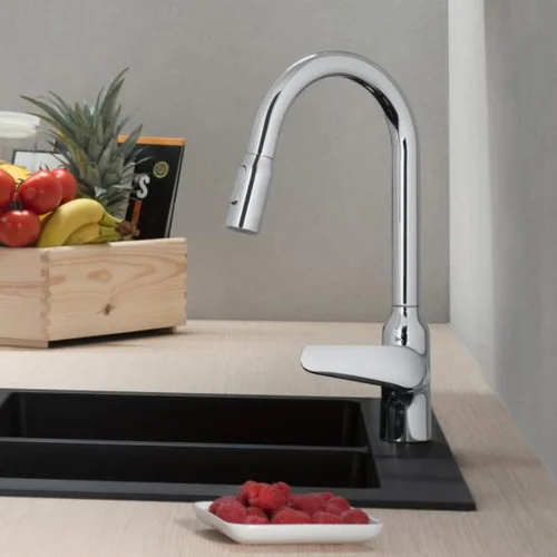 Hansgrohe Focus M42 71820000 Virtuvinis maišytuvas su ištraukiama žarna image 3