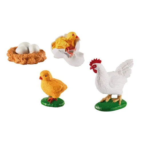 Vištienos gyvenimo ciklai – edukacinis modelis image 1