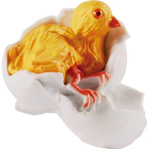 Vištienos gyvenimo ciklai – edukacinis modelis image 3