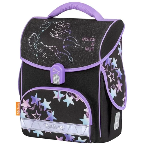 Tiger Family TGJT-001A kuprinė, 14 L, juoda/violetinė image 2
