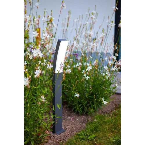 Šviestuvas Lutec KIRA 7288902118, 18W, LED, IP54, antracito image 2