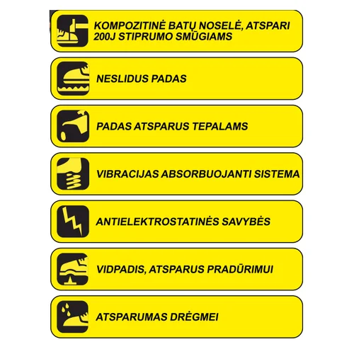 Dedra BH9T4VK-38 Apsauginiai batai, dydis 38 image 2