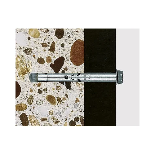 Fischer Ankeris su varžtu FSA S 12/10 12x70 mm image 2