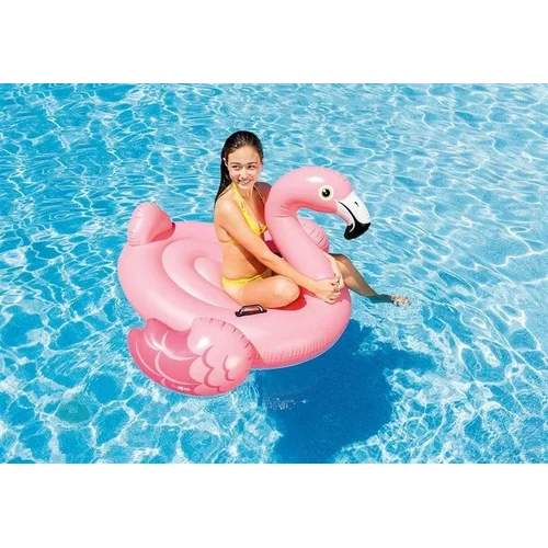 Pripučiamasis plaustas INTEX FLAMINGO 57558NP, 142×134 cm image 2