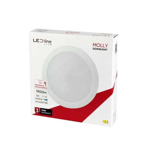 Įmontuojamas šviestuvas LED Line MOLLY, 18W, 4000°K, LED image 3