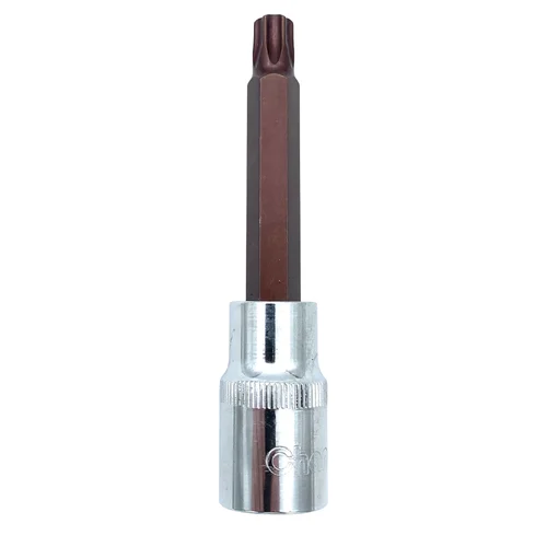 CHANGLU TOOLS 1/2" Galvutė, 100 mm, TORX T-25 image 1