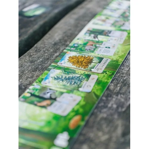 Brain Games Forest Shuffle Stalo žaidimas image 2