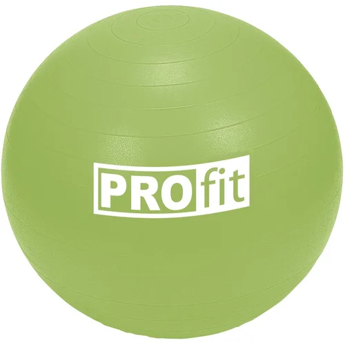 PROFIT DK 2102 Gimnastikos kamuolys 75 cm su pompa image 1