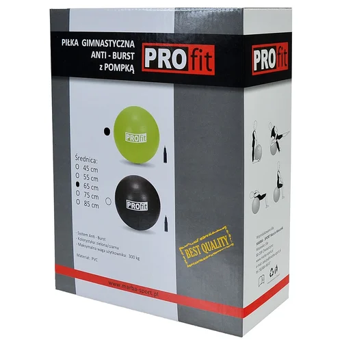 PROFIT DK 2102 Gimnastikos kamuolys 75 cm su pompa image 2
