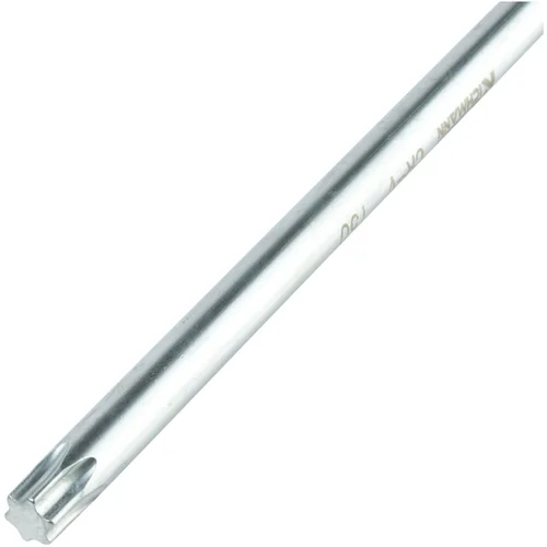 Richmann T formos torx raktas T25x100 mm image 3